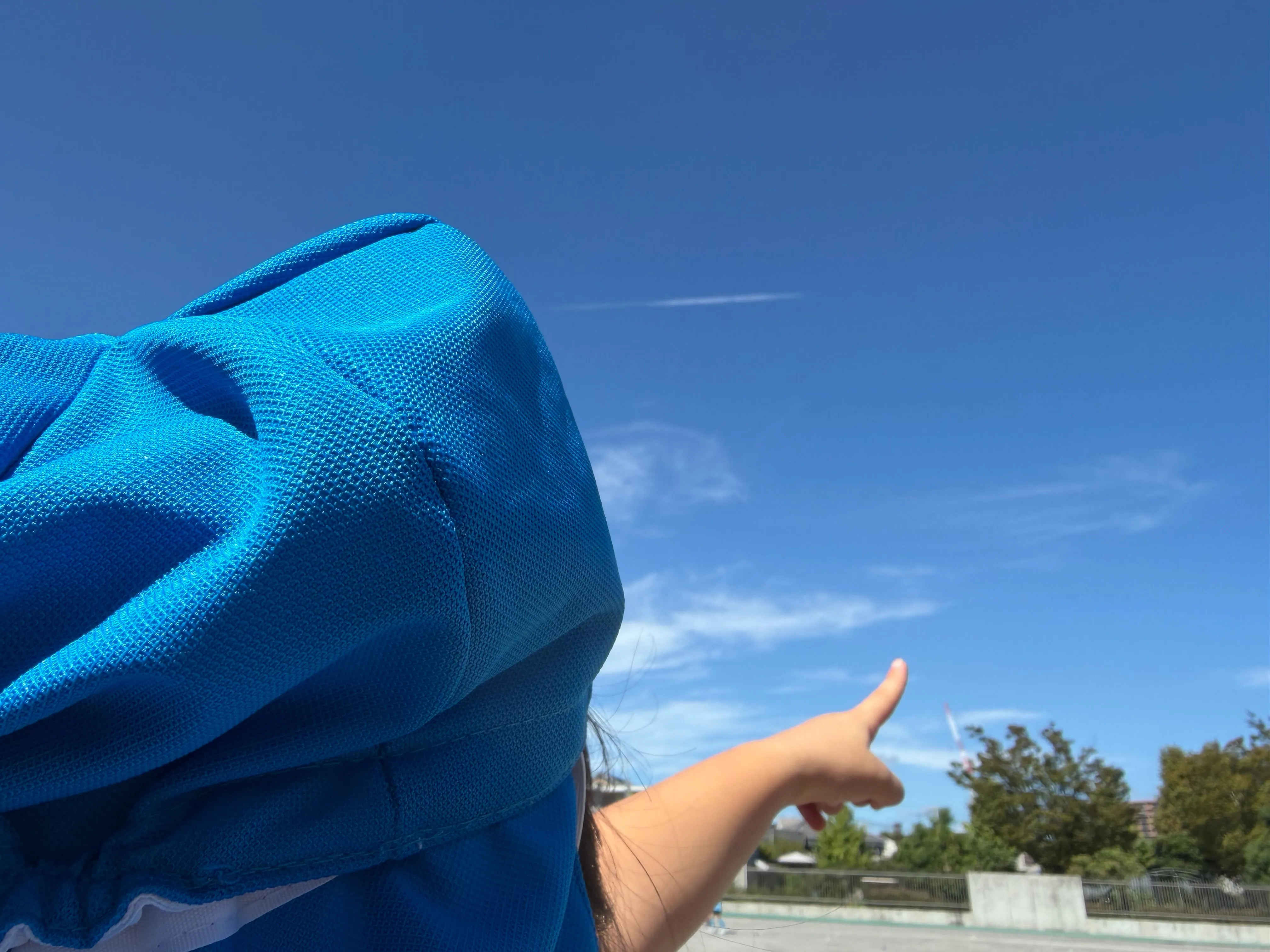 久しぶりに太陽が顔を出し青空の下、元気に遊びました♫